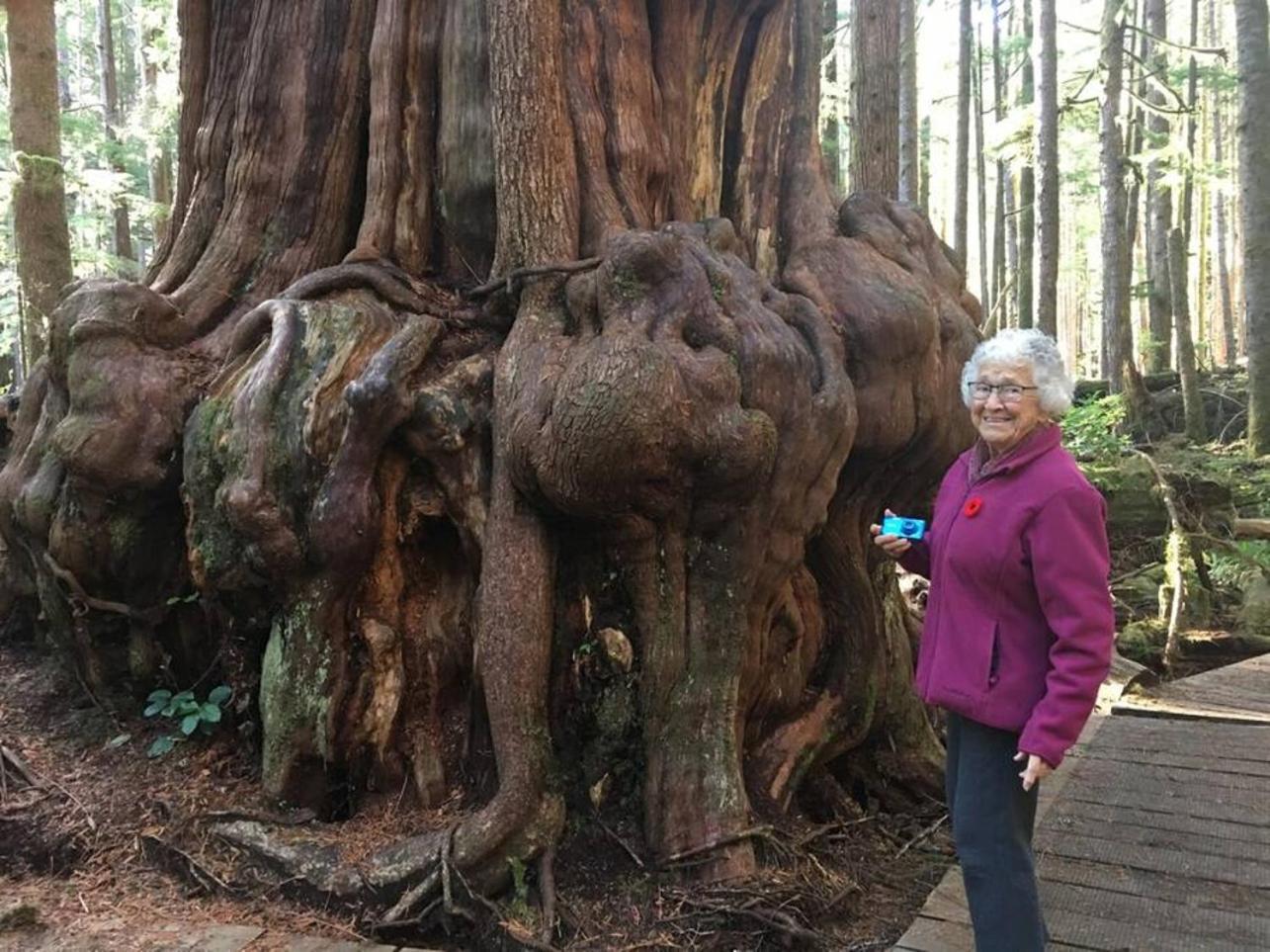 The Great Escape - Port Renfrew别墅 外观 照片
