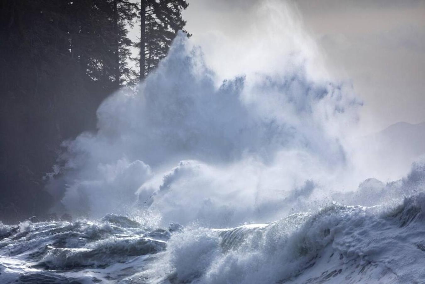 The Great Escape - Port Renfrew别墅 外观 照片