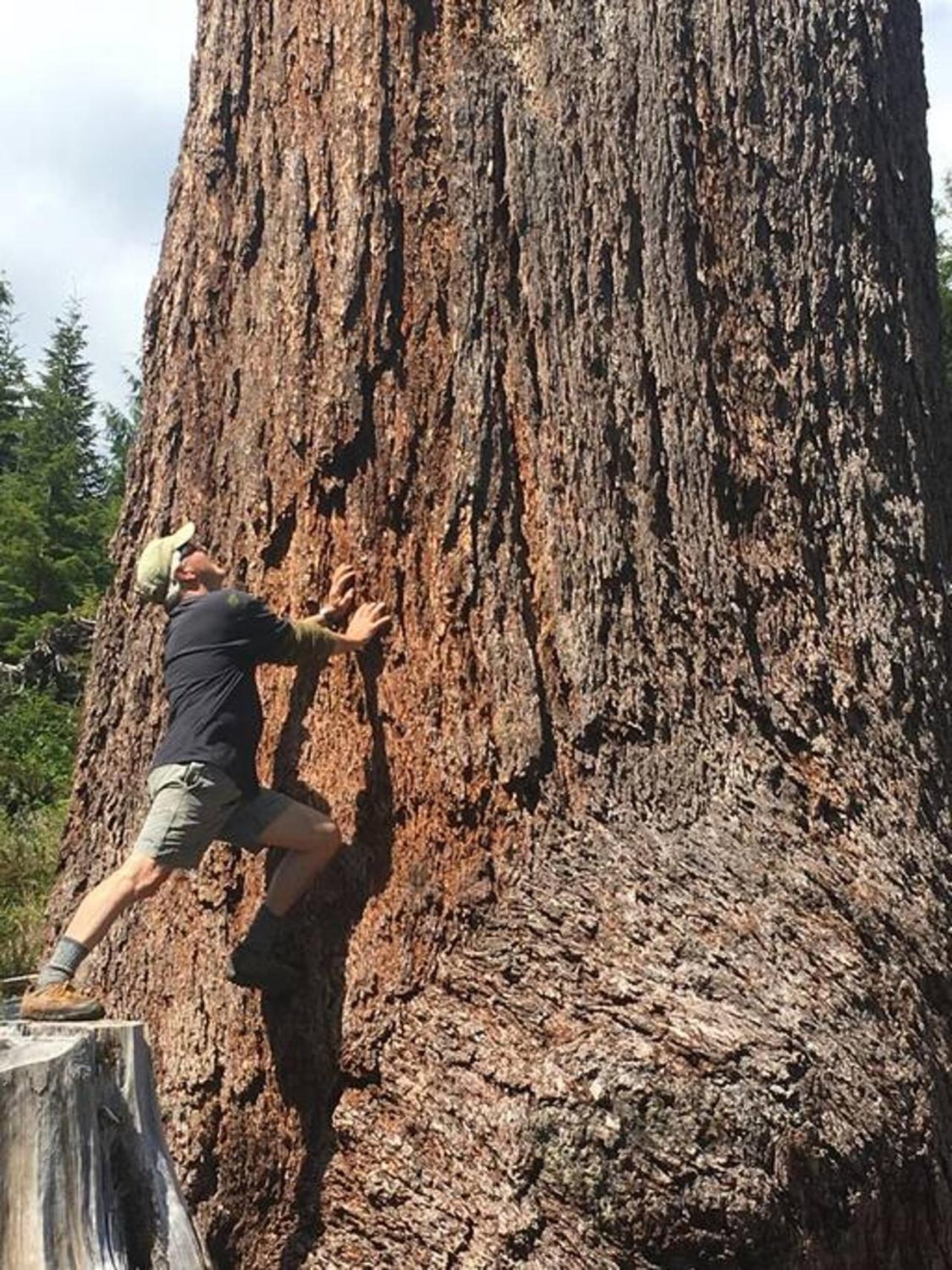 The Great Escape - Port Renfrew别墅 外观 照片
