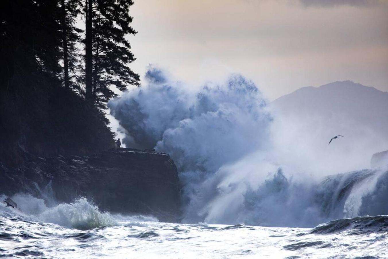 The Great Escape - Port Renfrew别墅 外观 照片