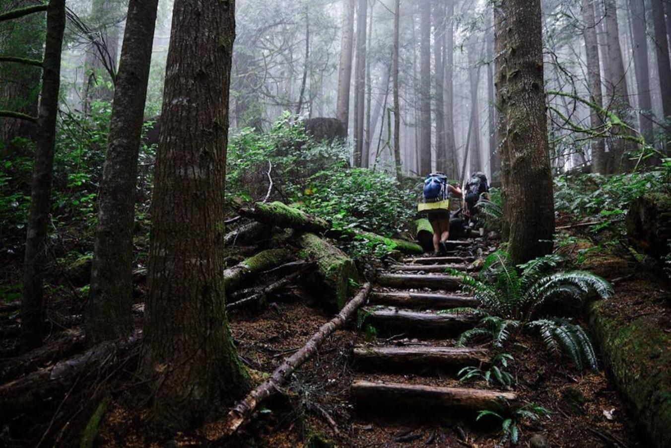 The Great Escape - Port Renfrew别墅 外观 照片