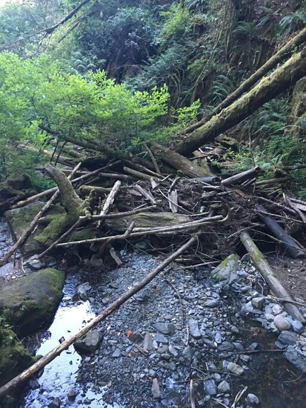 The Great Escape - Port Renfrew别墅 外观 照片